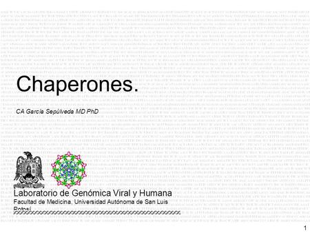 1 CA García Sepúlveda MD PhD Chaperones. Laboratorio de Genómica Viral y Humana Facultad de Medicina, Universidad Autónoma de San Luis Potosí.