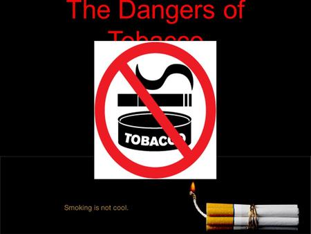 The Dangers of Tobacco. What is Tobacco? Tobacco is a plant that contains nicotine. Its leaves are dried and then made into cigarettes, cigars, smokeless.