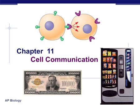 AP Biology Chapter 11 Cell Communication. AP Biology The Cellular “Internet”  Within multicellular organisms, cells must communicate with one another.