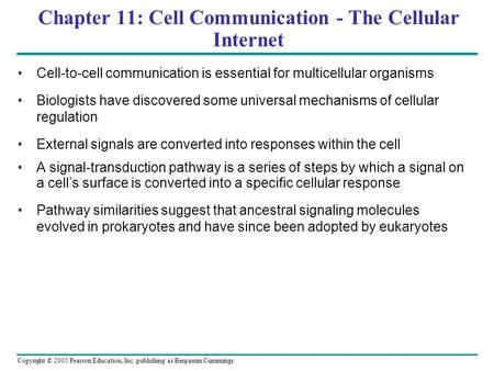 Copyright © 2005 Pearson Education, Inc. publishing as Benjamin Cummings Chapter 11: Cell Communication - The Cellular Internet Cell-to-cell communication.