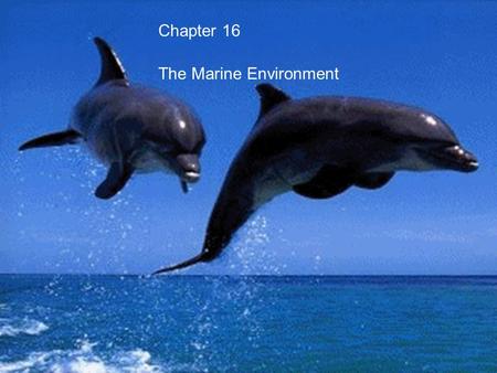 Chapter 16 The Marine Environment. Longshore currents Waves usually approach the beach at an angle Water recedes parallel to the beach. Waves usually.