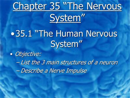 Chapter 35 “The Nervous System” 35.1 “The Human Nervous System”35.1 “The Human Nervous System” Objective:Objective: –List the 3 main structures of a neuron.