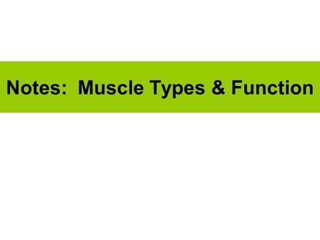 Notes: Muscle Types & Function. (1) Types of Muscle Skeletal Cardiac Smooth.