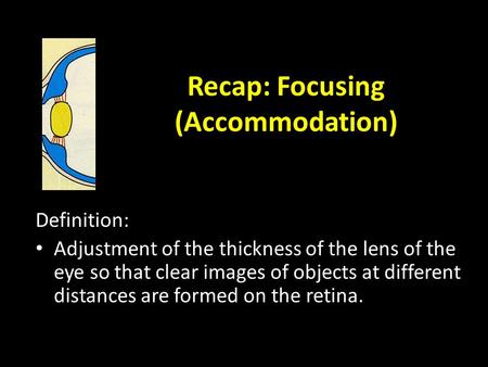 Recap: Focusing (Accommodation) Definition: Adjustment of the thickness of the lens of the eye so that clear images of objects at different distances.