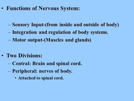 Functions of Nervous System: –Sensory Input-(from inside and outside of body) –Integration and regulation of body systems. –Motor output-(Muscles and glands)