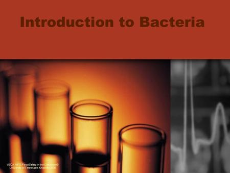 Introduction to Bacteria USDA NIFSI Food Safety in the Classroom© University of Tennessee, Knoxville 2006.