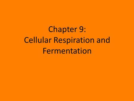 Chapter 9: Cellular Respiration and Fermentation.