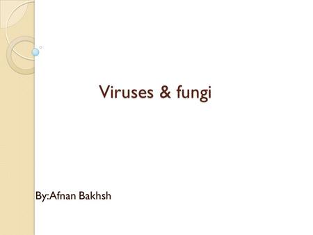 Viruses & fungi By:Afnan Bakhsh. Fungi: : Mycology: study of fungi. Fungi: group of heterotrophic eukaryotic cells. Fungi called saprophytes because they.