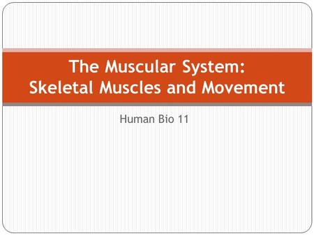 Human Bio 11 The Muscular System: Skeletal Muscles and Movement.