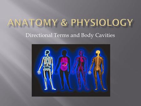 Directional Terms and Body Cavities