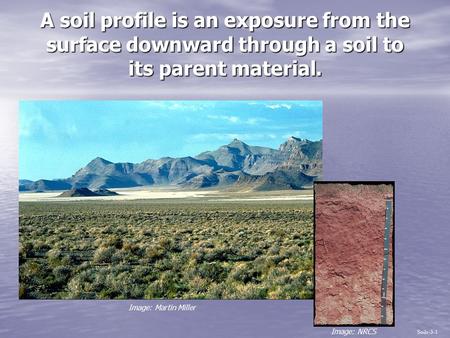 A soil profile is an exposure from the surface downward through a soil to its parent material. Soils-3-1 Image: NRCS Image: Martin Miller.
