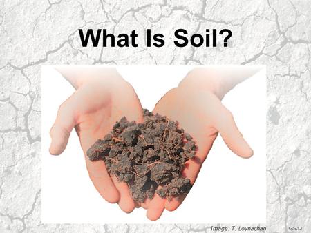 What Is Soil? Soils-1-1 Image: T. Loynachan. Soil is a layer of unconsolidated material on the Earth’s surface in which plants grow. Soils-1-2 Image: