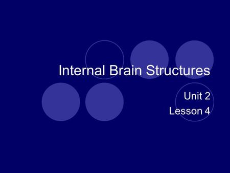 Internal Brain Structures Unit 2 Lesson 4. Objectives Identify organization, function, and location of major brain structures. Explain how damage would.
