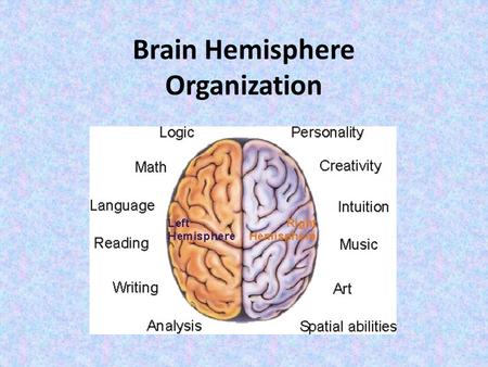 Brain Hemisphere Organization