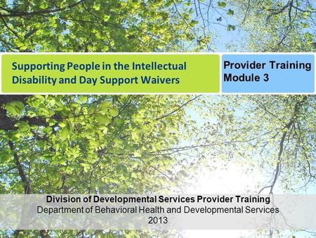 Supporting People in the Intellectual Disability and Day Support Waivers Division of Developmental Services Provider Training Department of Behavioral.
