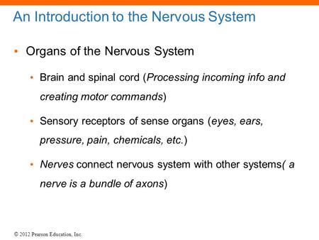 © 2012 Pearson Education, Inc. An Introduction to the Nervous System Organs of the Nervous System Brain and spinal cord (Processing incoming info and creating.