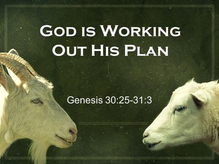 God is Working Out His Plan Genesis 30:25-31:3.