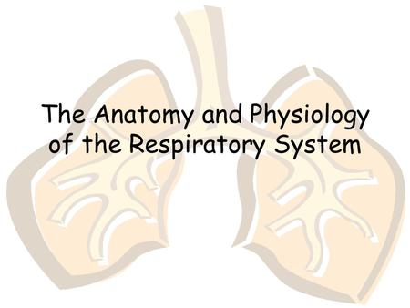 The Anatomy and Physiology of the Respiratory System.