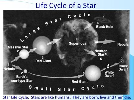 Life Cycle of a Star Star Life Cycle: Stars are like humans. They are born, live and then die.