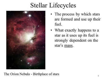 Stellar Lifecycles The process by which stars are formed and use up their fuel. What exactly happens to a star as it uses up its fuel is strongly dependent.