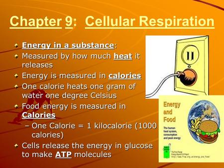 Chapter 9: Cellular Respiration Energy in a substance: Measured by how much heat it releases Energy is measured in calories One calorie heats one gram.