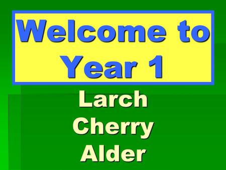 Welcome to Year 1 Larch Cherry Alder. Larch Class Miss Bateman – Class Teacher Mrs Saint – TA.