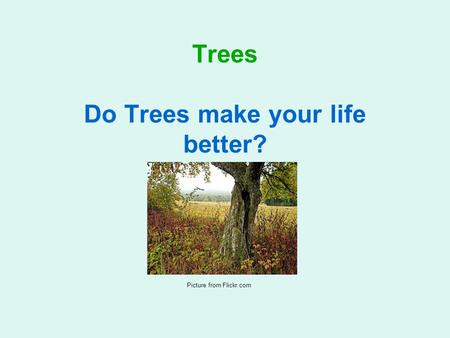 Trees Do Trees make your life better? A Technology Learning Area project for Grade 8 Picture from Flickr.com.