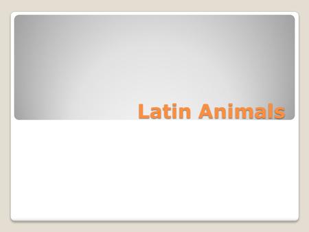 Latin Animals. Something to think about. What is your favorite animal? Do you think the Romans knew about your favorite animal?
