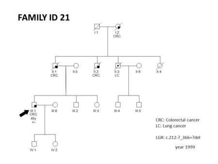 FAMILY ID 21 CRC: Colorectal cancer LC: Lung cancer LGR: c.212-?_366+?del I:1I:2 CRC II:1 CRC II:2 CRC II:3 LC II:4II:5 III:2III:3 II:6 III:4III:5III:6.