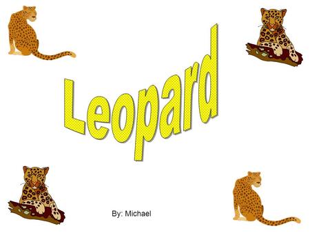 By: Michael. What does the leopard look like The leopards skin has spots all over it accept it’s face. The leopards spots are a dot and then it looks.