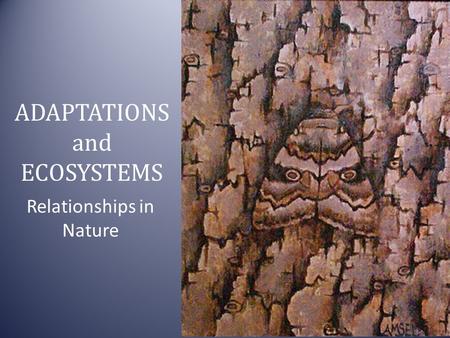 ADAPTATIONS and ECOSYSTEMS Relationships in Nature.
