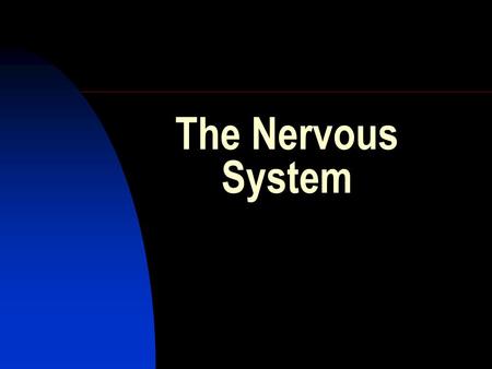 The Nervous System. Functions of the nervous system include:  coordination of the physical movements of the body  corresponding to the action of the.