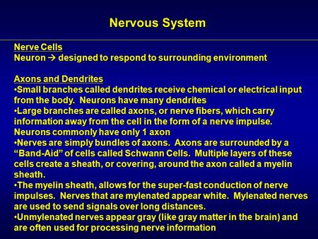 Nervous System Nerve Cells Neuron  designed to respond to surrounding environment Axons and Dendrites Small branches called dendrites receive chemical.