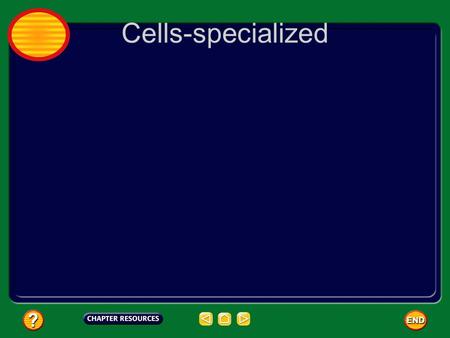Cells-specialized. BrainPOP video  eandgenetics/cellspecialization/preview.w emlhttp://www.brainpop.com/science/cellularlif.