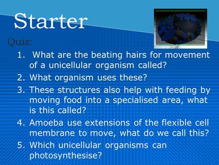 Starter Quiz : 1. What are the beating hairs for movement of a unicellular organism called? 2.What organism uses these? 3.These structures also help with.