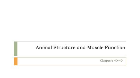 Animal Structure and Muscle Function