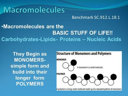 Macromolecules Macromolecules are the BASIC STUFF OF LIFE!!