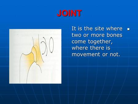 JOINT It is the site where two or more bones come together, where there is movement or not. It is the site where two or more bones come together, where.
