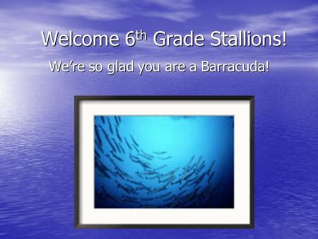 Welcome 6 th Grade Stallions! We’re so glad you are a Barracuda!