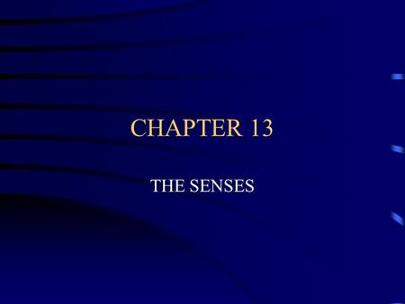CHAPTER 13 THE SENSES RECEPTORS RECEIVE INFORMATION AND SEND IT TO THE BRAIN FOR PROCESSING.