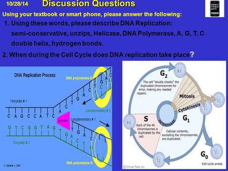 Discussion Questions Discussion Questions 10/28/14 1. Using these words, please describe DNA Replication: semi-conservative, unzips, Helicase, DNA Polymerase,