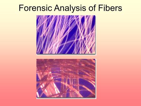 Forensic Analysis of Fibers. Types of Fibers Natural – fibers that come from plants or animals Man-made – fibers that come from natural or synthetic polymers.