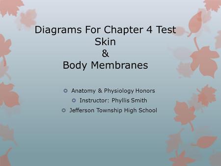 Diagrams For Chapter 4 Test Skin & Body Membranes