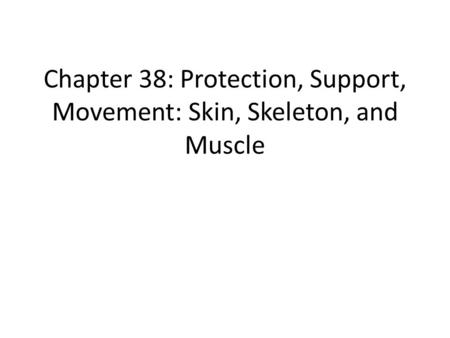 Chapter 38: Protection, Support, Movement: Skin, Skeleton, and Muscle.