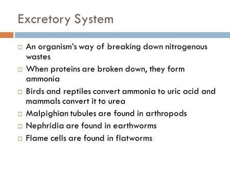 Excretory System An organism’s way of breaking down nitrogenous wastes