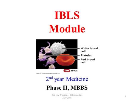 1 IBLS Module 2 nd year Medicine Phase II, MBBS 2nd year Medicine- IBLS Module May 2008.