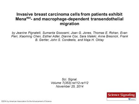 Invasive breast carcinoma cells from patients exhibit MenaINV- and macrophage-dependent transendothelial migration by Jeanine Pignatelli, Sumanta Goswami,