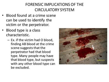 FORENSIC IMPLICATIONS OF THE CIRCULATORY SYSTEM Blood found at a crime scene can be used to identify the victim or the perpetrator. Blood type is a class.