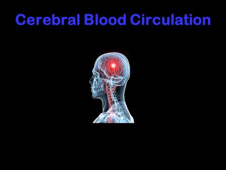 Cerebral Blood Circulation