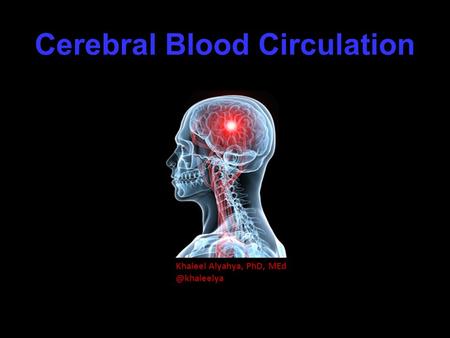 Cerebral Blood Circulation